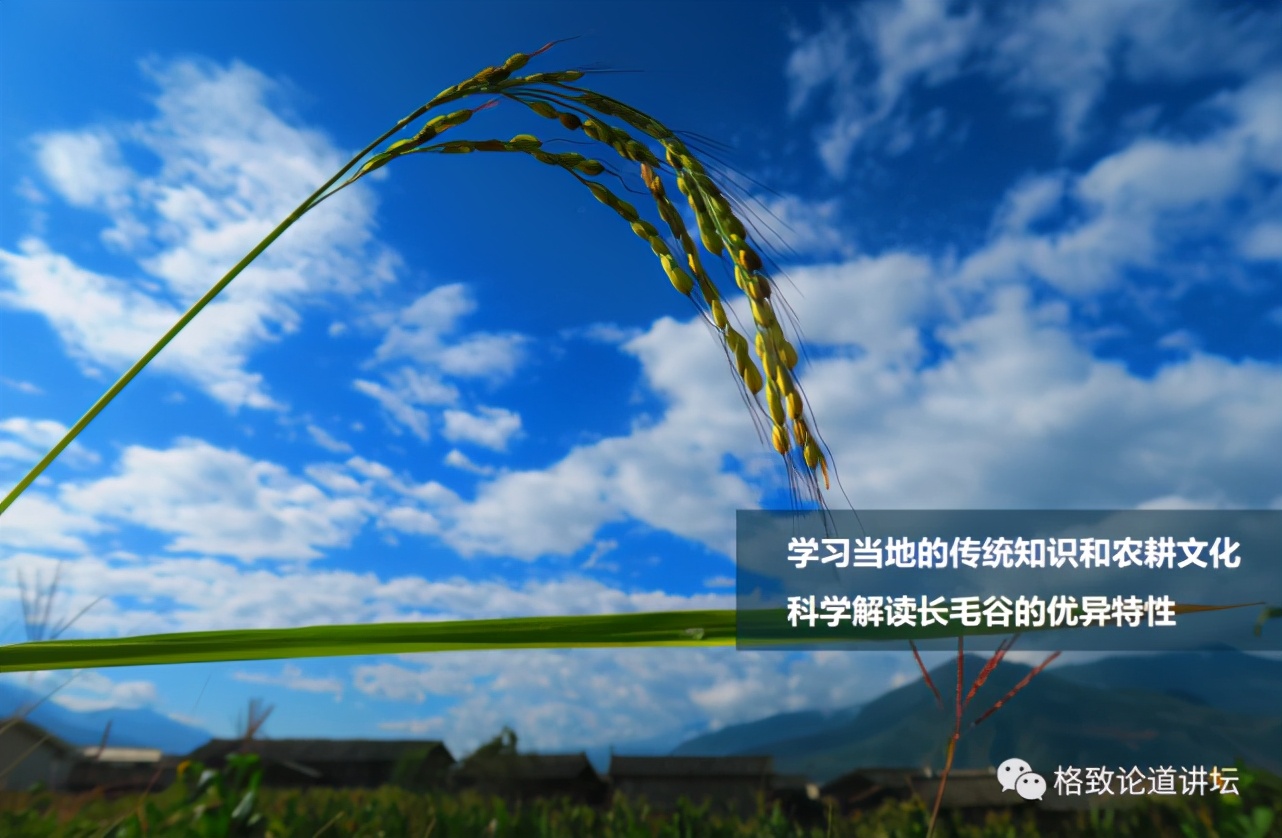 为什么长毛的火腿还能吃,长毛的火腿肠吃了会怎样