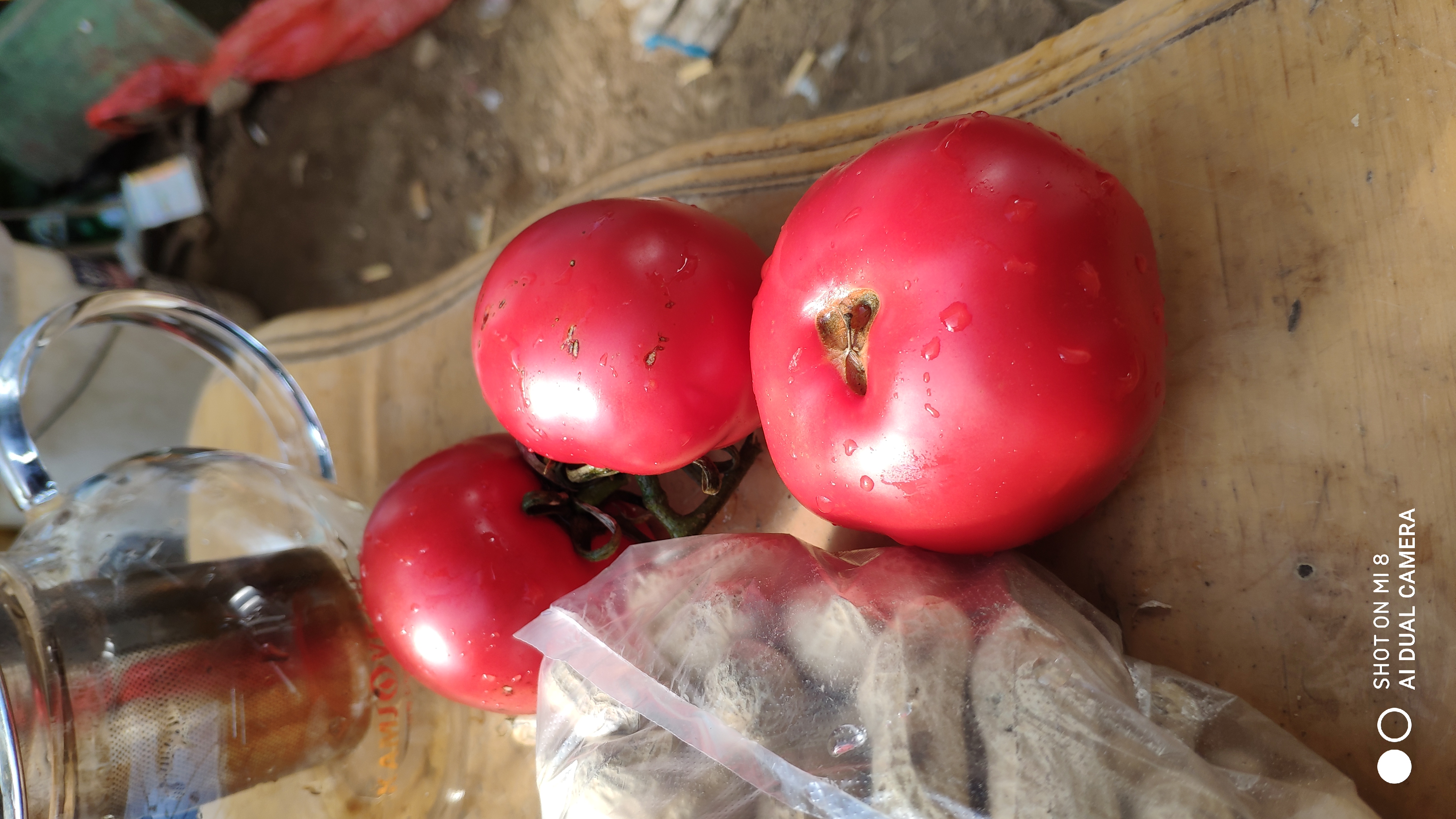 崂山水畔菜蔬鲜,黄石洞中书韵长