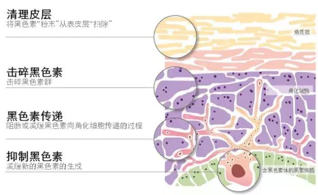 大创美白精华和雪肌精哪个好,大创美白精华