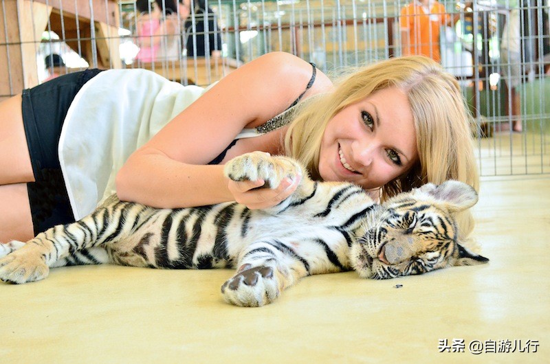 泰国清迈景点旅游路线攻略,泰国旅游清迈风景区攻略