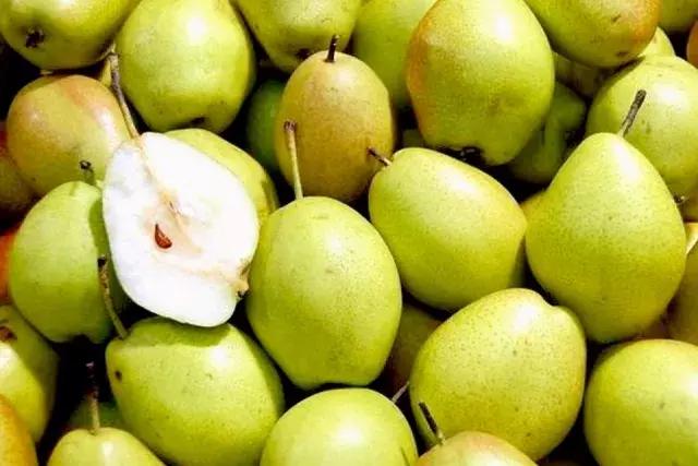 用酵素做肥料有用吗,用酵素养的蔬菜很好吃