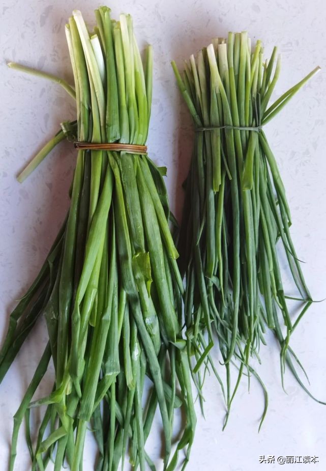 瓜瓜豆豆的视频,瓜瓜豆豆视频