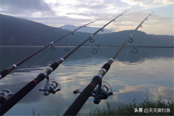 多钩悬钓草鱼的正确方法,串钩浅水钓草鱼最快的钓法