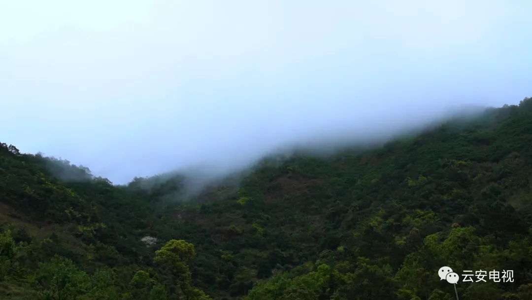 太美了！高村的云海景观恍如人间仙境