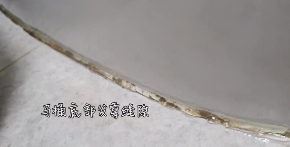 马桶底座发霉,马桶胶发霉怎么清理小妙招