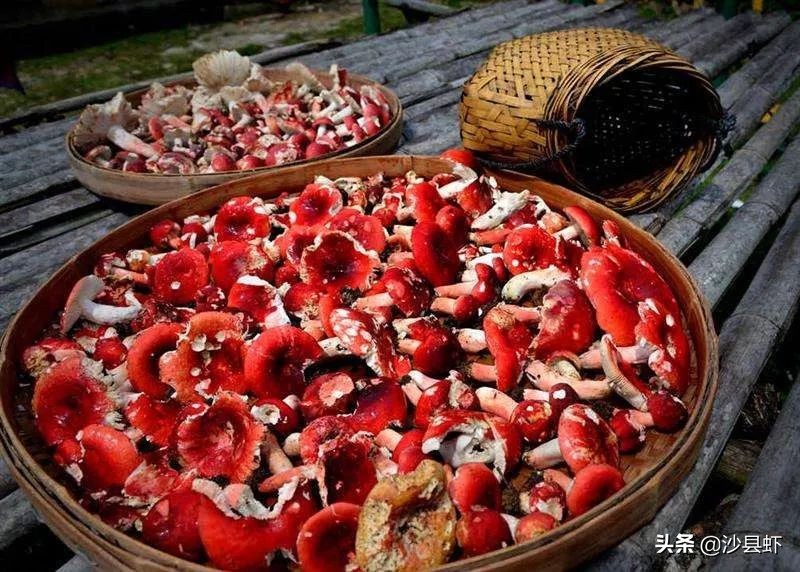 沙县总共有几个乡镇,沙县是属于哪个市