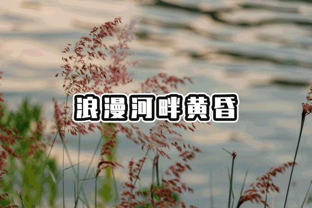 深圳好玩景点地铁路线,深圳好玩免费景点地铁直达的