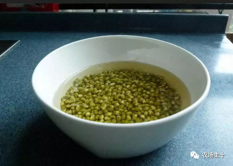 纸上种菜怎么赚钱,纸上种菜手把手教你