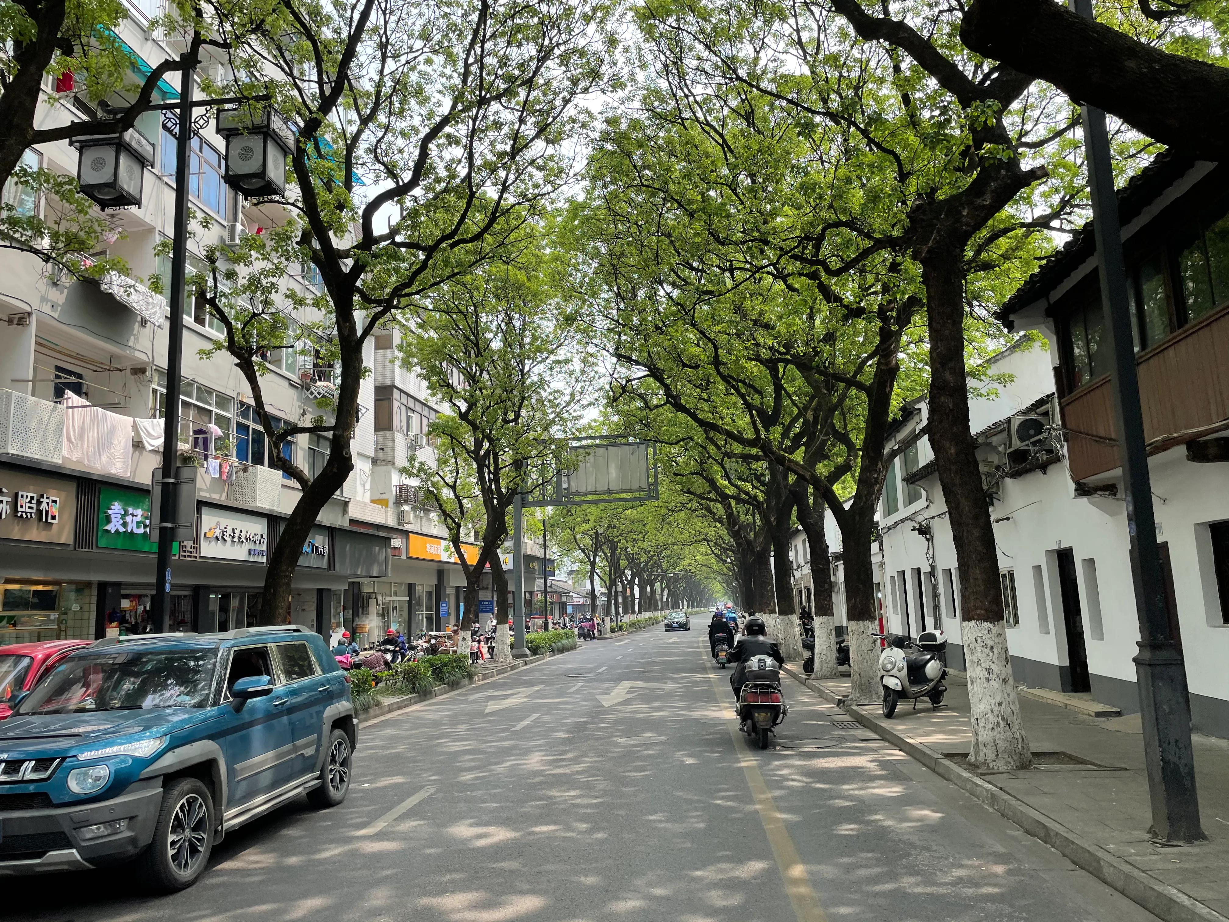 大隐隐于市大连,大隐隐于市诗句