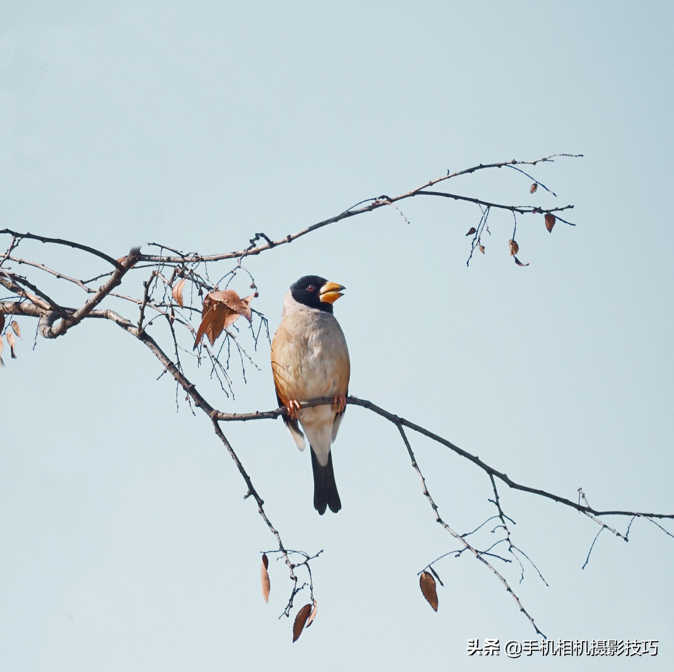 14组普通人拍出来的好照片,这才是普通人拍的照片平凡而珍贵