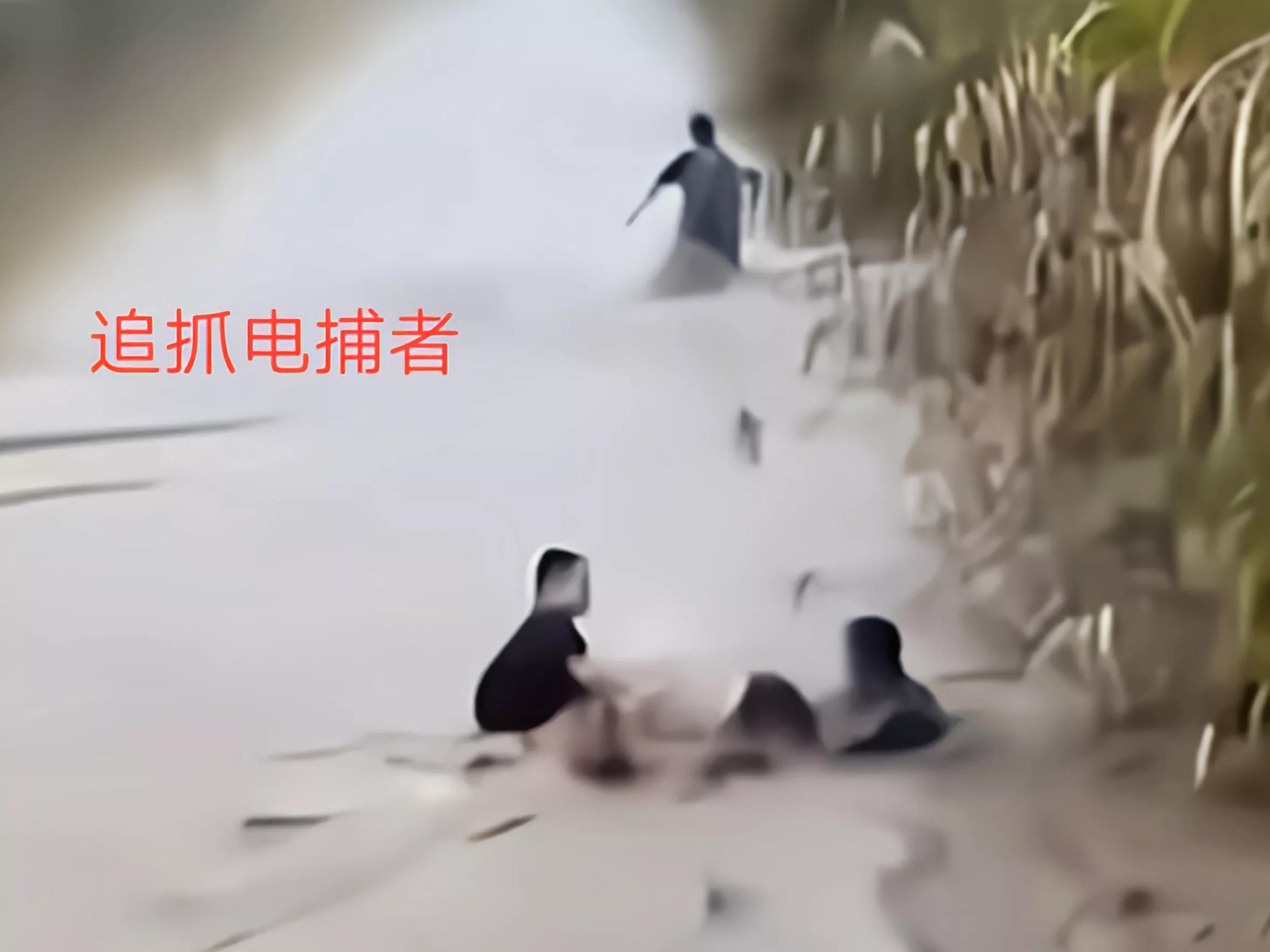 三男子非法电鱼南京,3名男子非法捕鱼600余斤