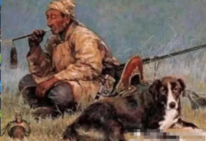 为什么回不吃猪,满不吃狗,藏不吃鱼!这才是正确的答案!