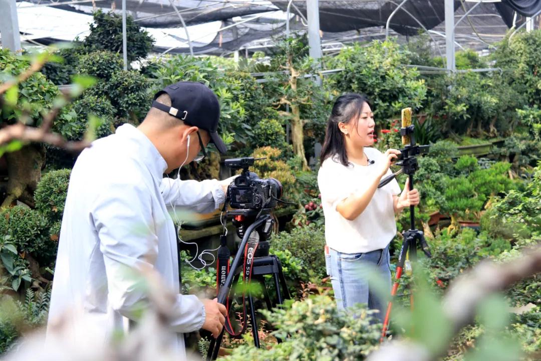中国沭阳国际花木城在哪个城市,沭阳花木城的发展