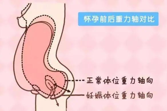 孕产期保健课,孕产课