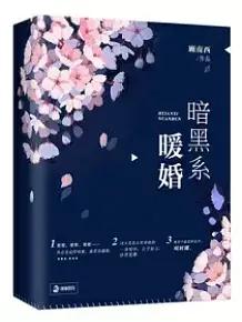 霸道偏执甜宠小说,偏执宠爱控制欲强小说推荐