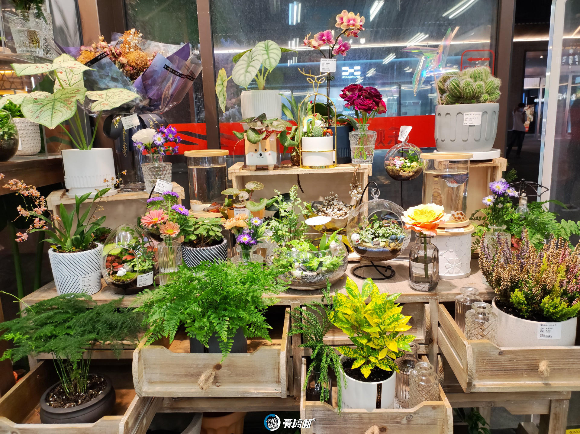 小米civi评测体验视频,小米civi性能测评