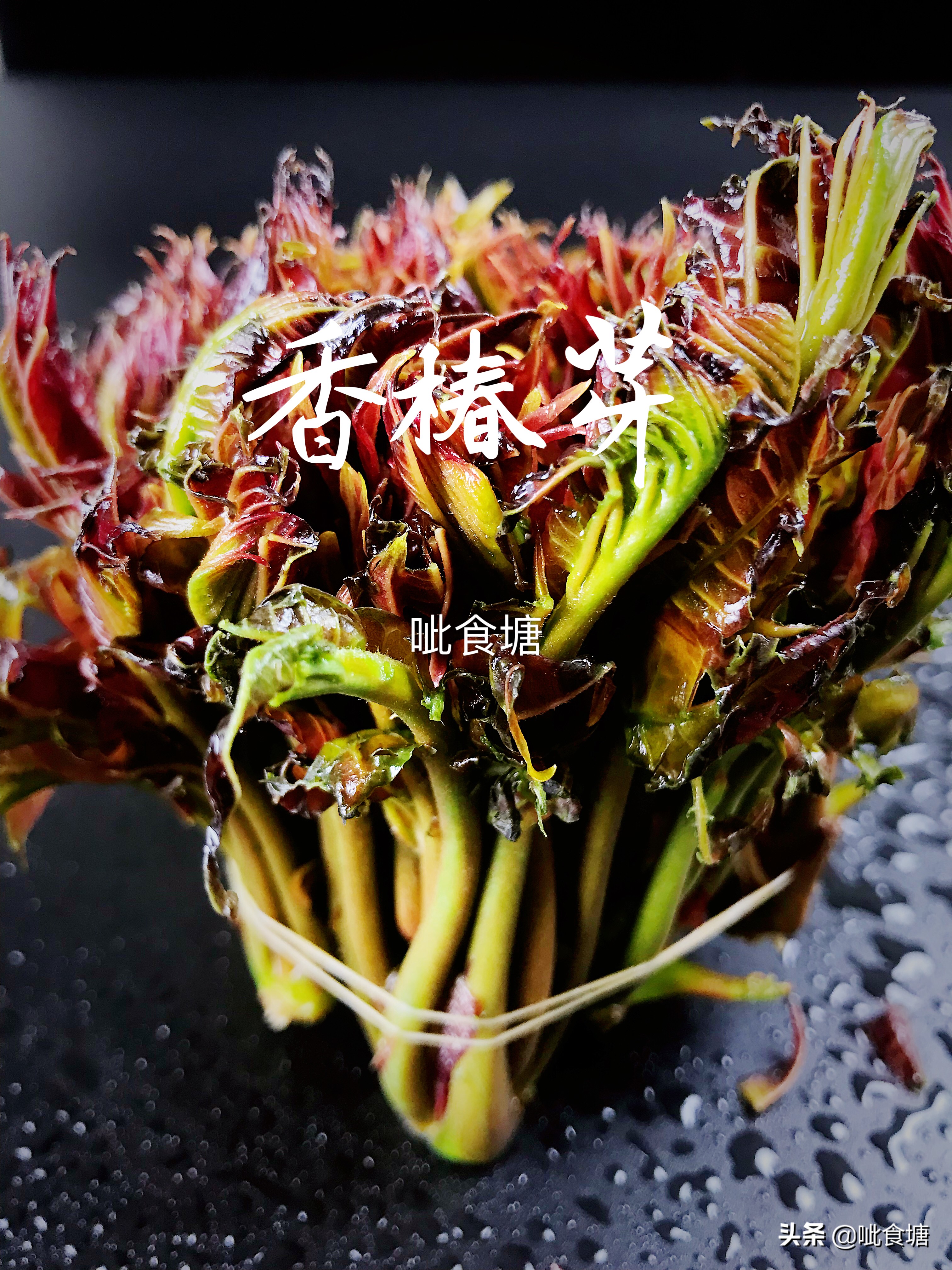 春天的香椿芽最好吃,香椿芽炒土鸡蛋图片