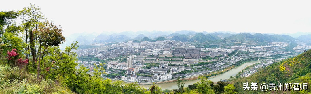 贵州天地人和酒业有限公司,郑酒师的酒怎么样