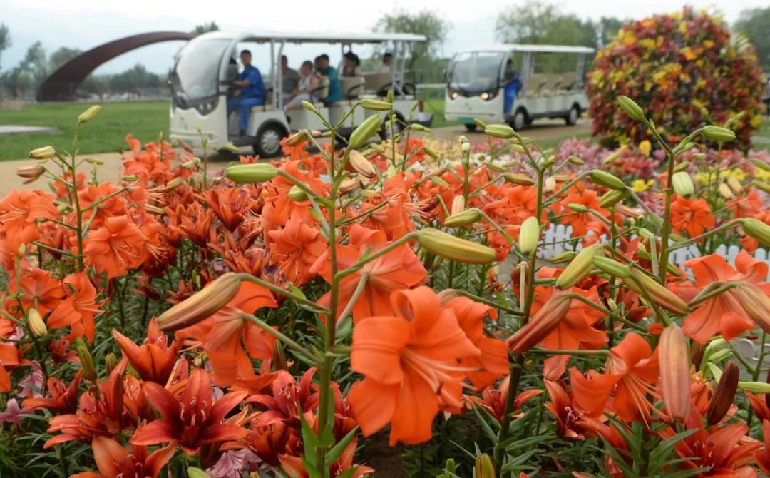 安全出行宝典,北京安全出游好去处