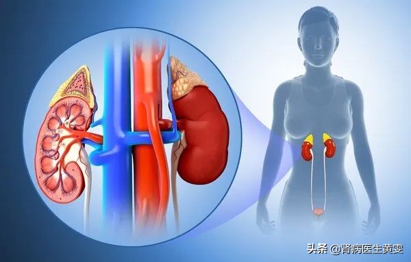 2岁反复发烧中药灌肠有作用吗,中药灌肠治肾衰多久做一次