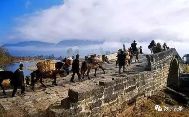 茶马古道寻找茶文化之旅,消失的茶马古道和茶文化