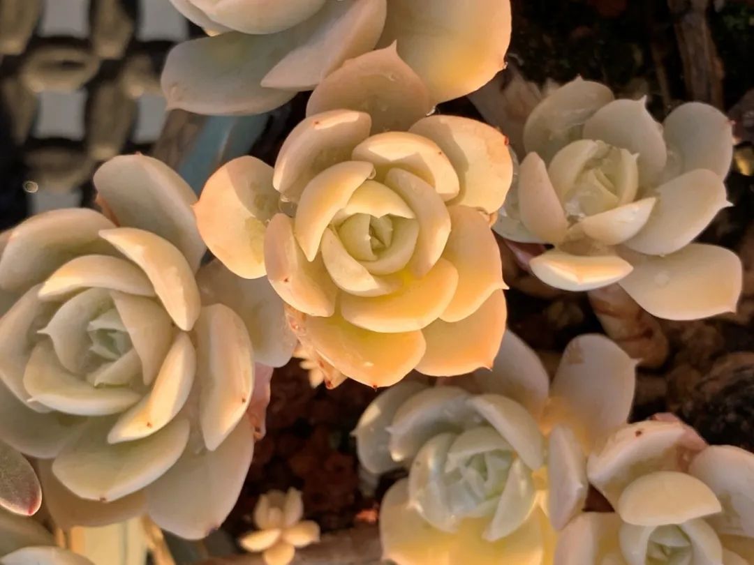 禁足的日子收获颇多,禁足