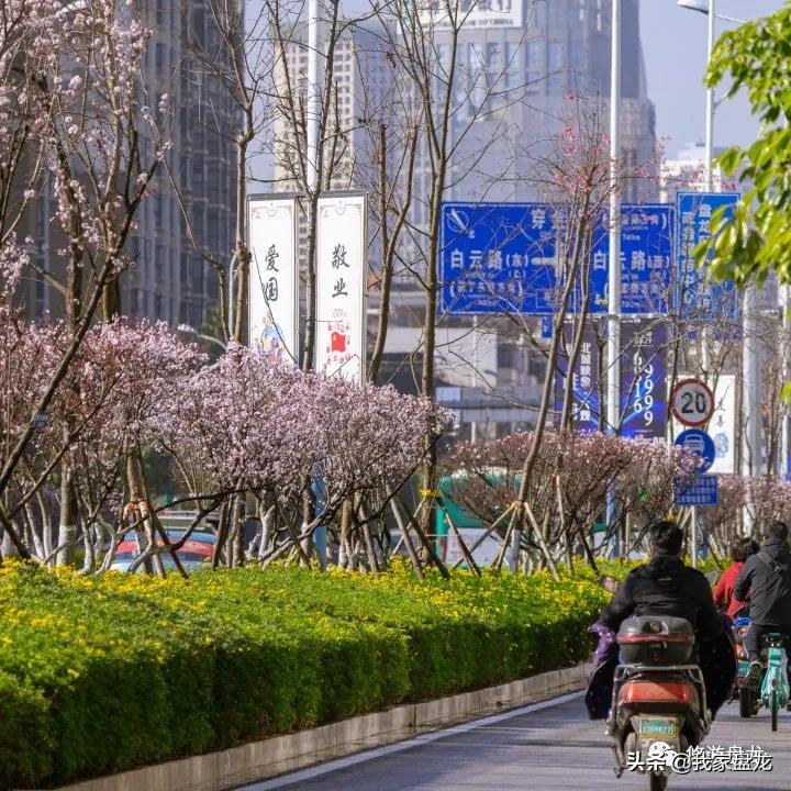 100张照片一百种幸福,100张图片带你去云南