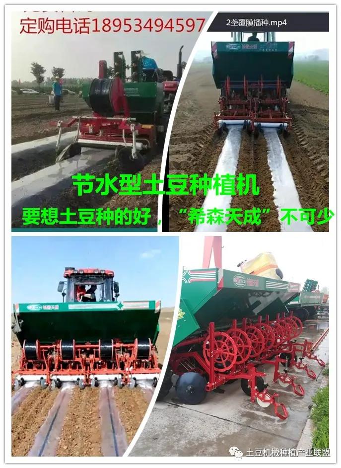 灭草松除草剂对马铃薯药害,马铃薯药害的一般症状图片