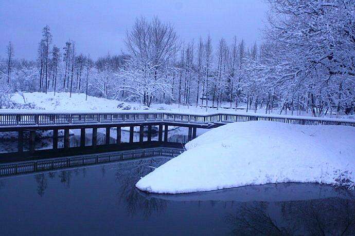 言善信原文,言善信政善治的意思