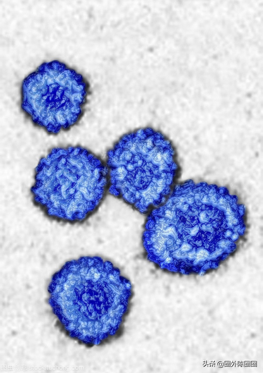 母婴传播冠状病毒,母婴传播新冠