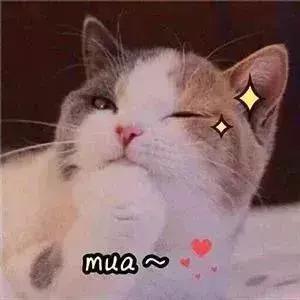 感恩有你感恩节,感恩有你感恩节活动