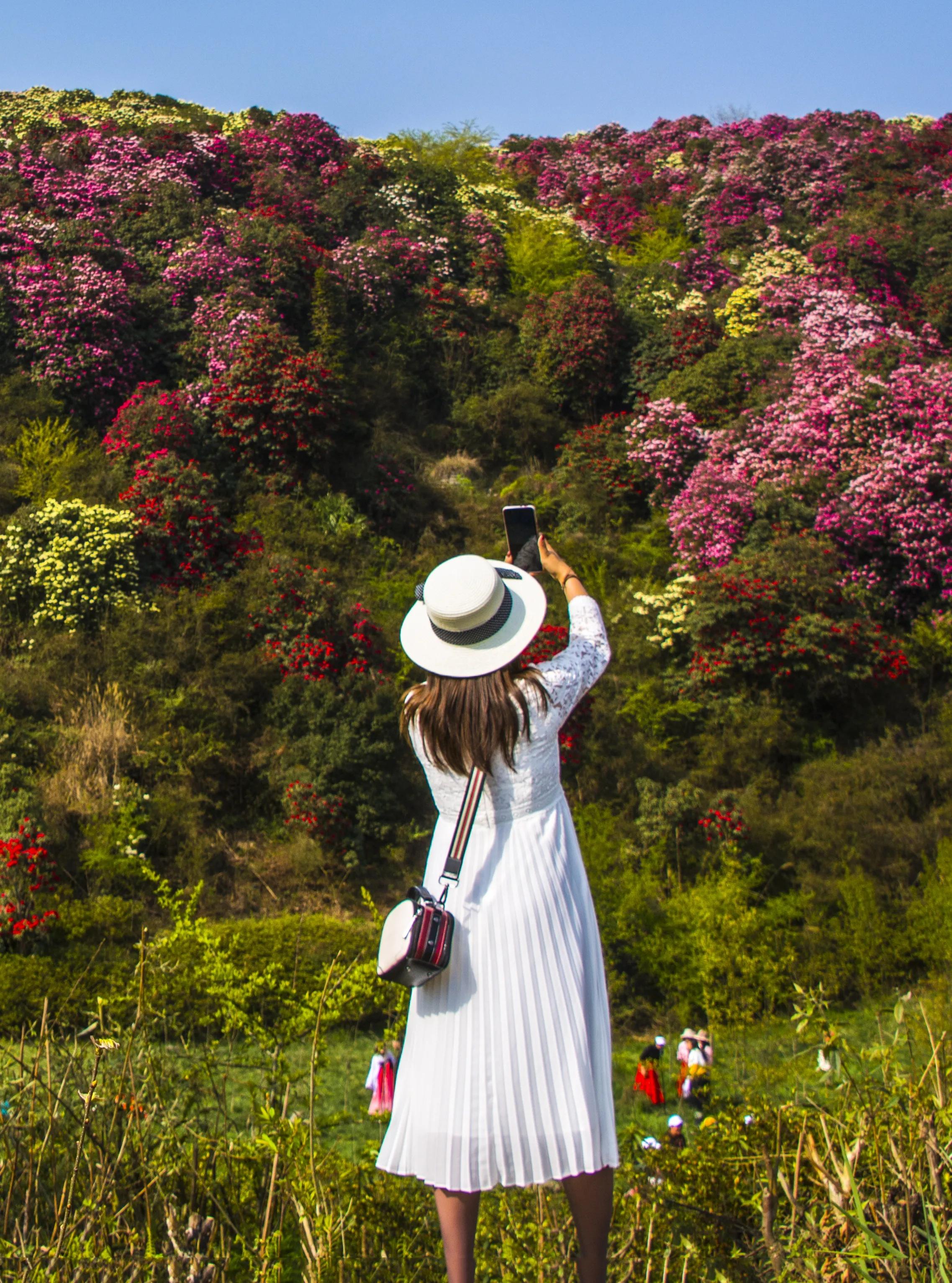 贵州大学1984级管科系同学欢聚毕节录