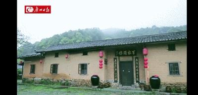 从化莲麻头酒十里飘香，昔日贫困村在绿水青山间迸发振兴力量
