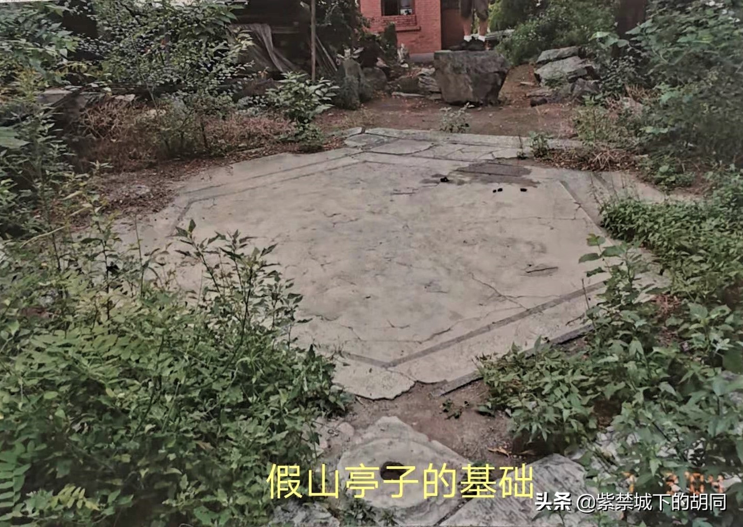 一篇*今条头日**文章，惊喜见到阿拉善王府的“格格”