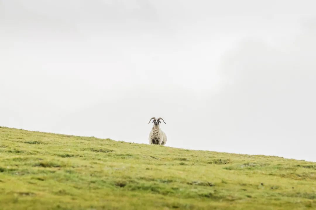 青海西宁是座怎样的城市,西宁是不是最具幸福感城市