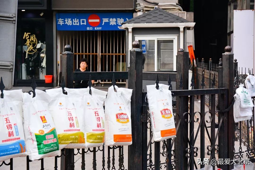 带你逛北京最大早市,北京正宗早市推荐