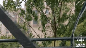 中心城区已清理305株倒伏树木，今夜大连仍风骤雨急！