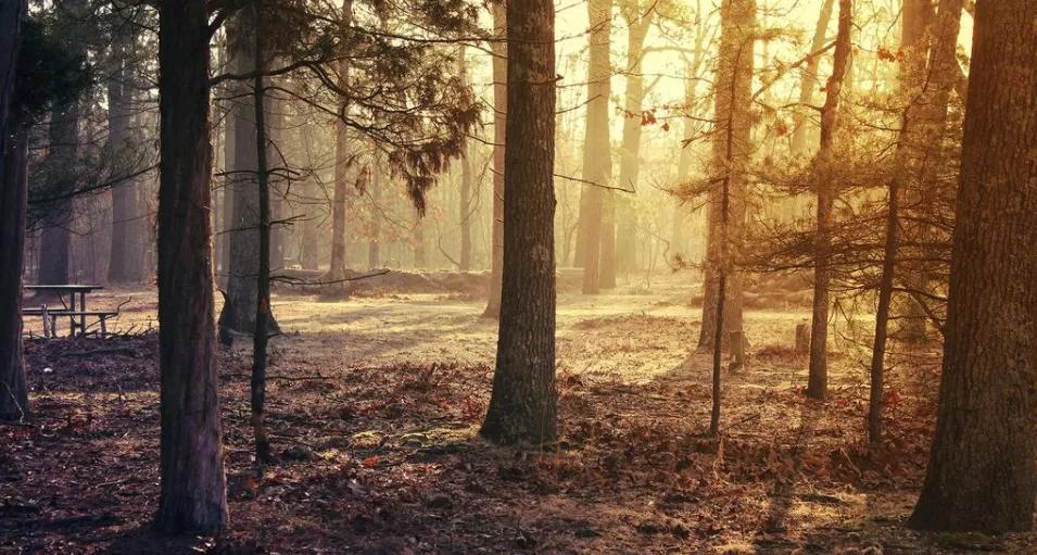 四个人的友情总有一个人多余,三人的友情总有一个人是多余的