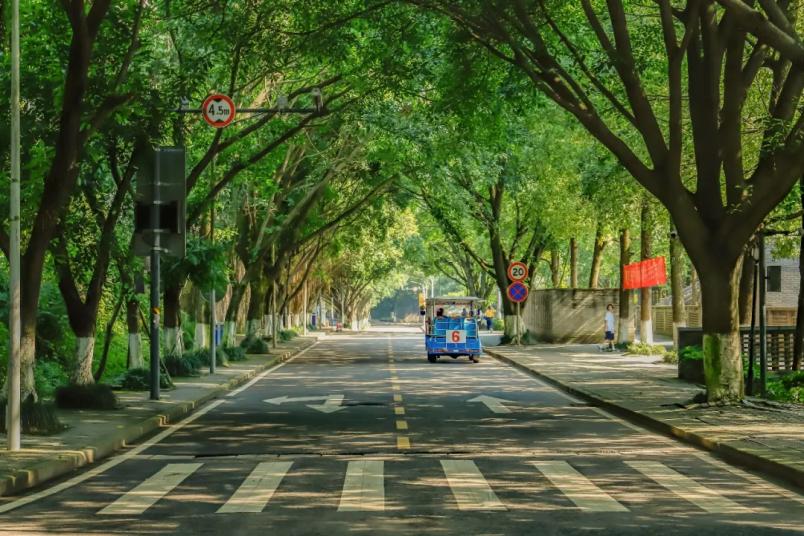 重庆豪华高校,重庆环境最美校园最大的大学