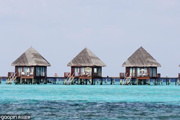 马尔代夫最震撼的海底,世界上最漂亮的海底珊瑚礁