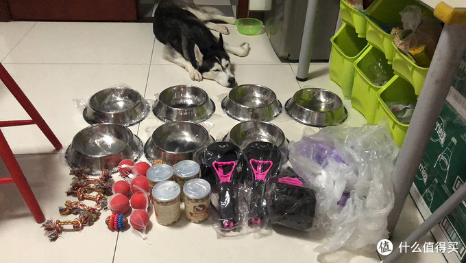 一次创世纪的生活体验—记哈士奇当妈妈