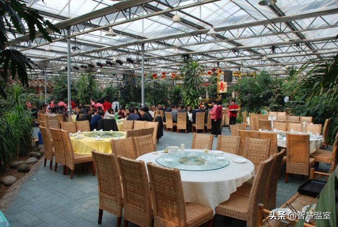 温室大棚生态餐厅合法吗,大棚绿色生态餐厅设计