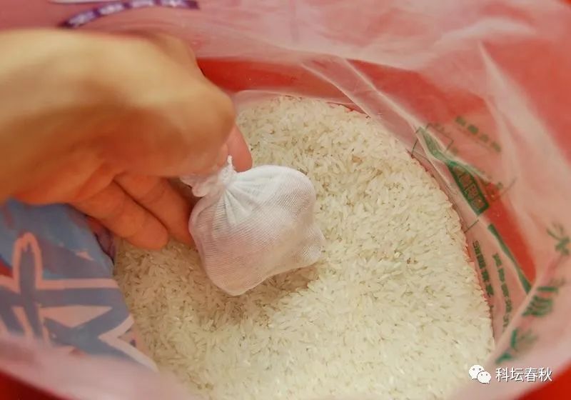 夏季为什么大米易生“米虫”，如何对付这种让人头皮发麻的小虫子