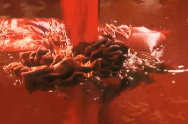 浅析《菊豆》的叙事结构：婶子和小侄子偷情背后的社会黑暗性质