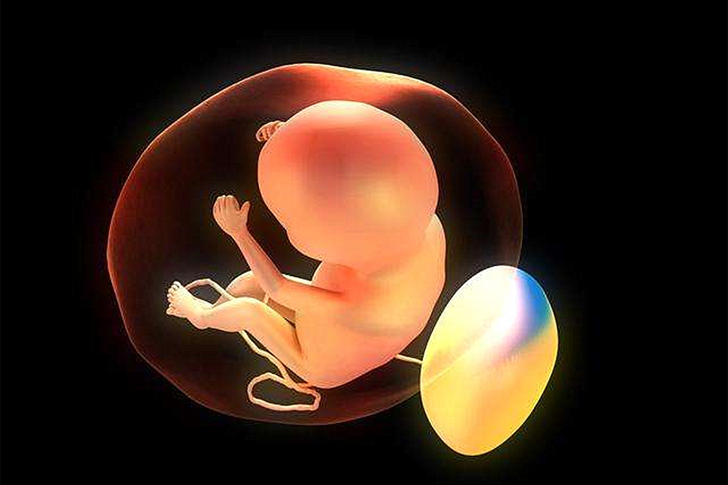 胎儿会打嗝是不是证明不缺氧,胎儿打嗝是不是胎动也正常