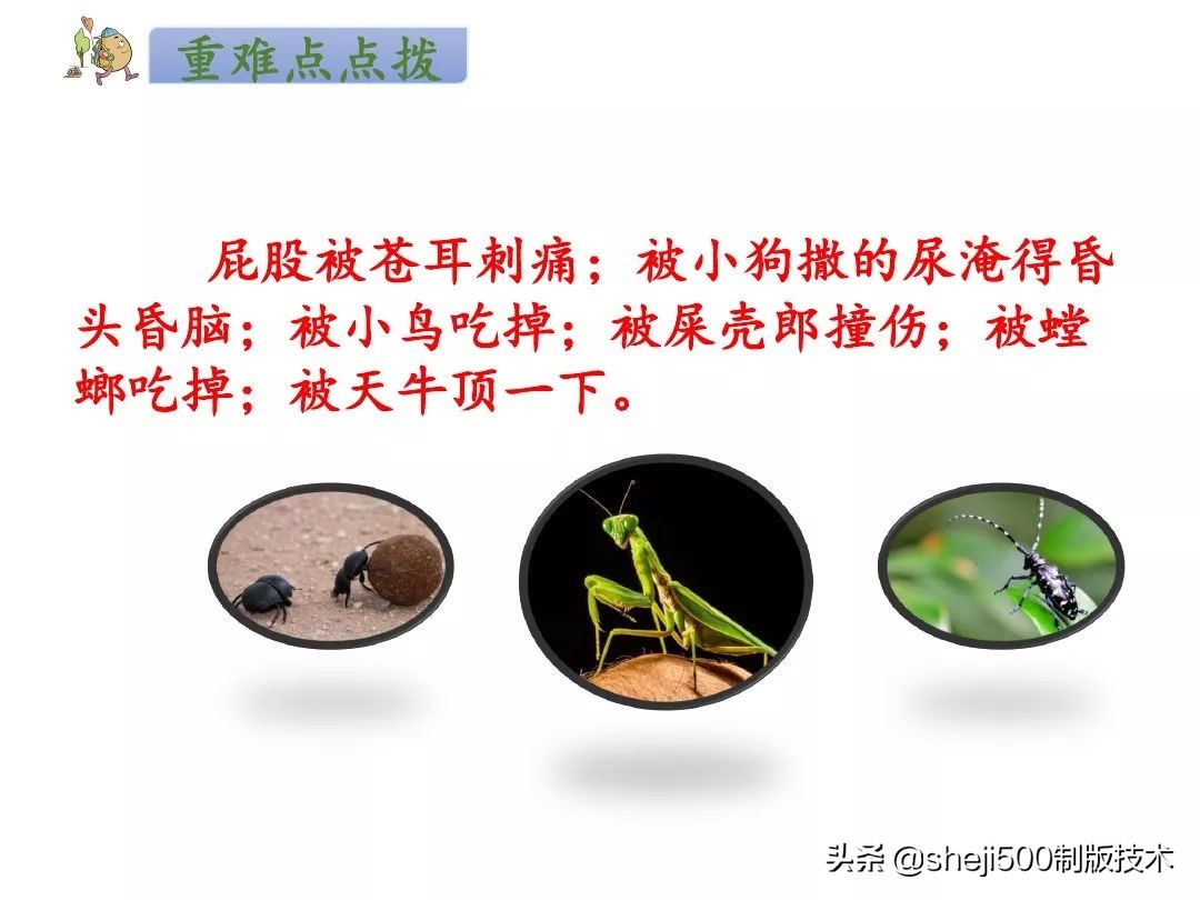 二年级下册第11课我是小虫子组词,二年级下语文我是一只小虫子练习