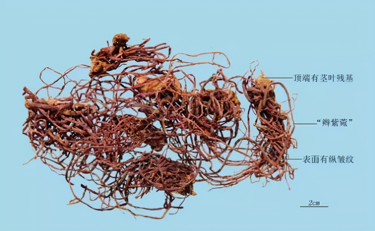 专治干咳久咳的中药材,干咳咳不出来痰吃什么中药