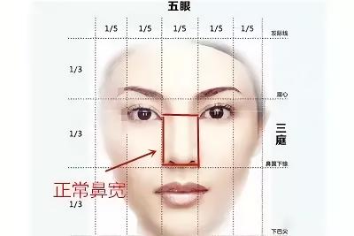 鼻翼缩小和鼻头缩小需要全麻吗,鼻头缩小和鼻翼缩小有什么区别