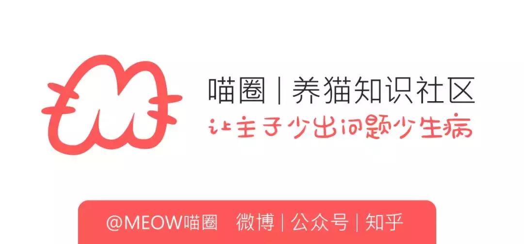 史上最走心的养猫攻略，内附大量经验之谈，全篇干货