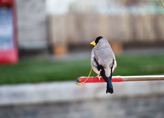 摄影圈名字大全,摄影圈的专业术语